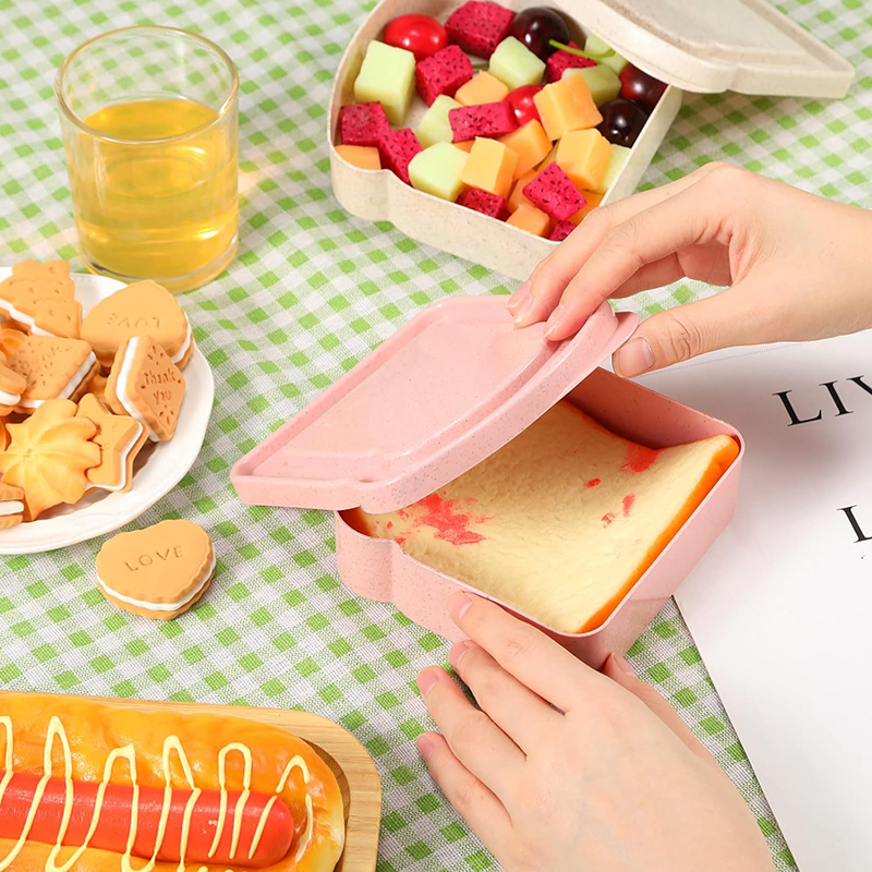 Sandwich Containers Lunch Box  - Food Storage With Colander recensione e prezzo