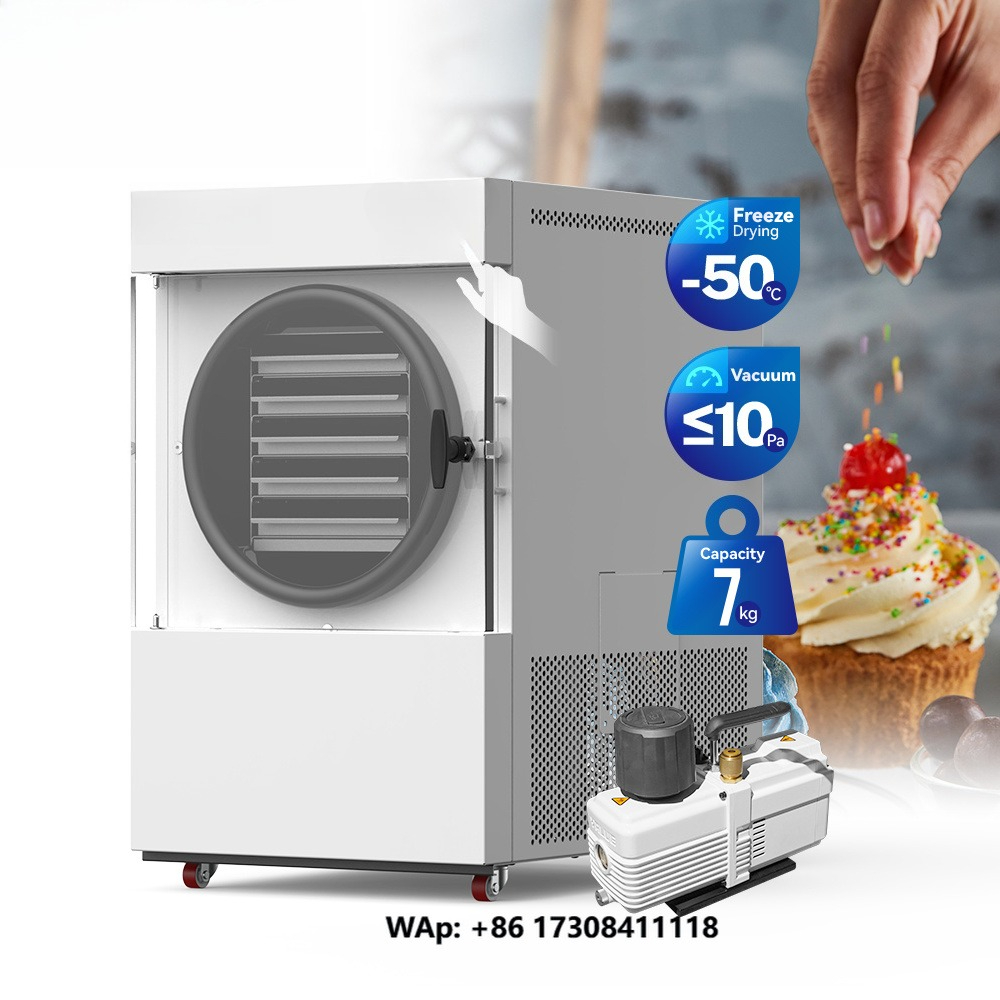 Vacuum Freeze Dryer Machine wi - Food Storage Machine recensione e prezzo