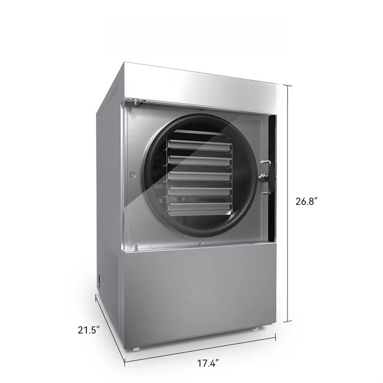 Vacuum Freeze Dryer Machine wi - Food Storage Machine recensione e prezzo