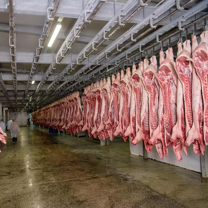 Cold Storage Room Slaughter Ho - Food Storage For Room recensione e prezzo