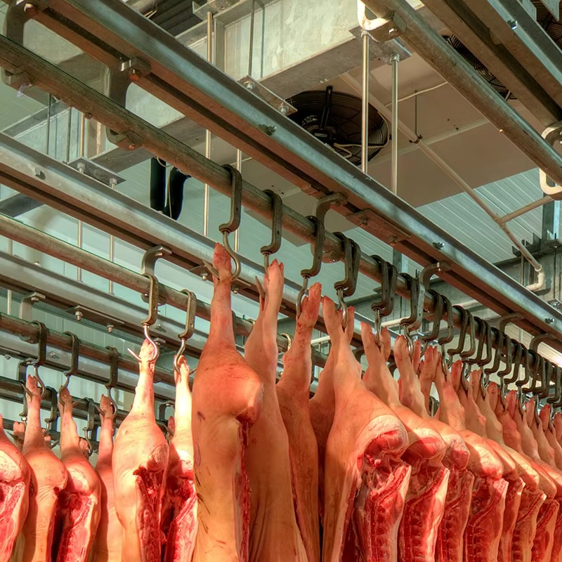 Cold Storage Room Slaughter Ho - Food Storage For Room recensione e prezzo