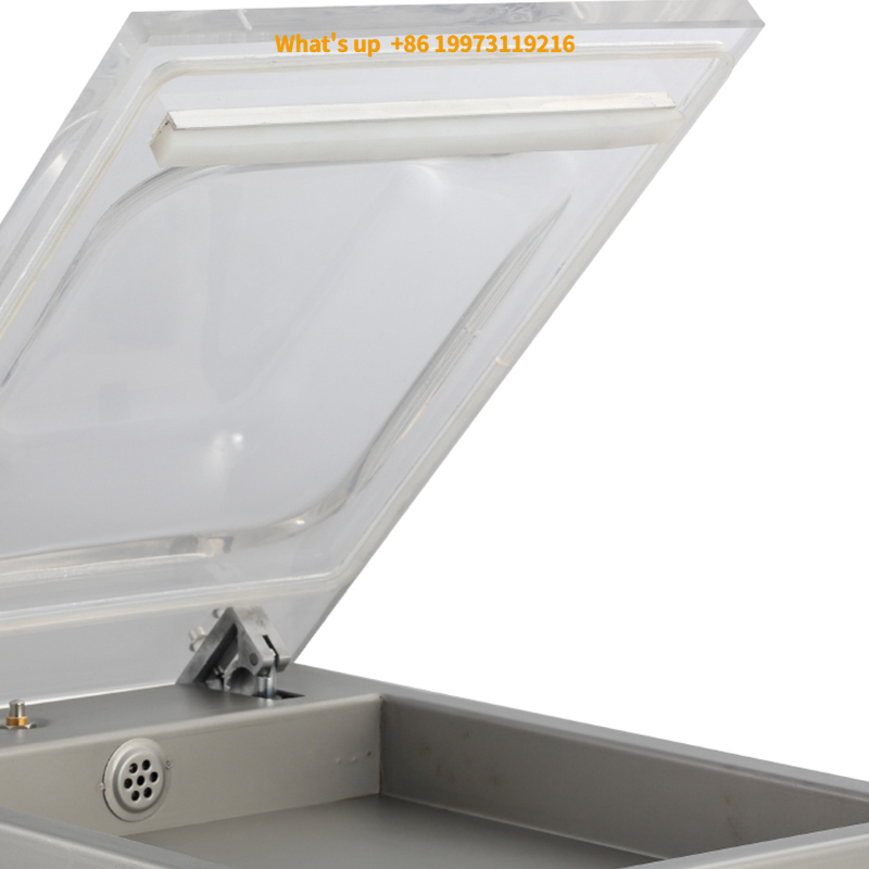 2026 DZ260 Factory Price Brand - Food Storage Brands recensione e prezzo